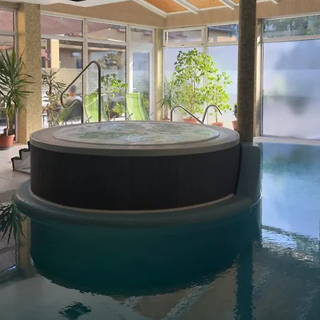 Viktoria Wellness Hotell 2*