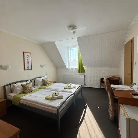 Viktoria Wellness Hotell