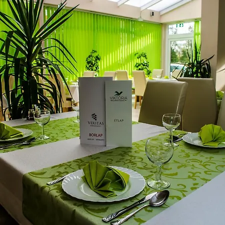 Hotel Viktória Wellness 2*