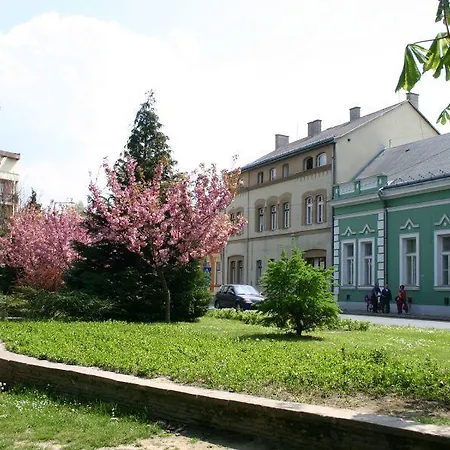 Viktória Wellness 2*