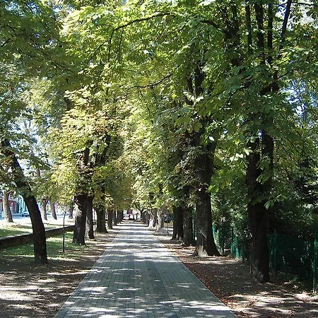 Hotel Viktoria Wellness Nagyatád