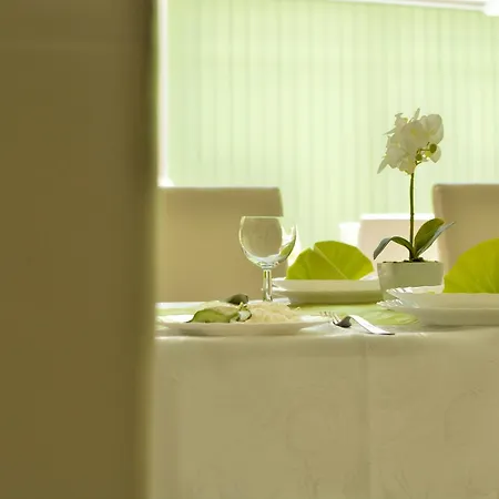 Hotel Viktoria Wellness Nagyatád
