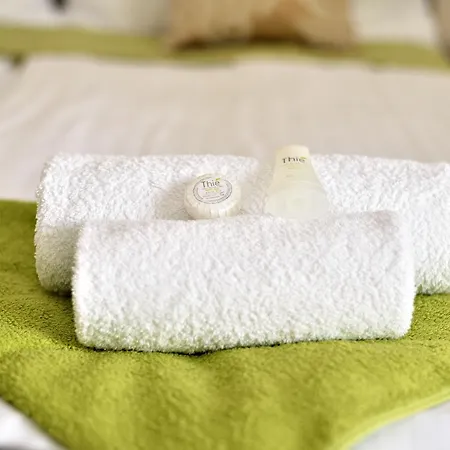 Hotel Viktória Wellness 2*