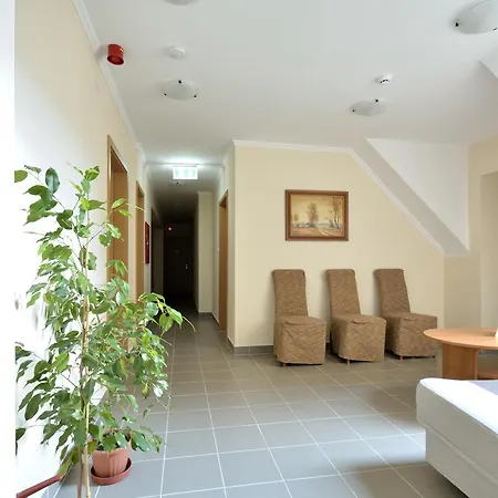 Hotel Viktória Wellness 2*