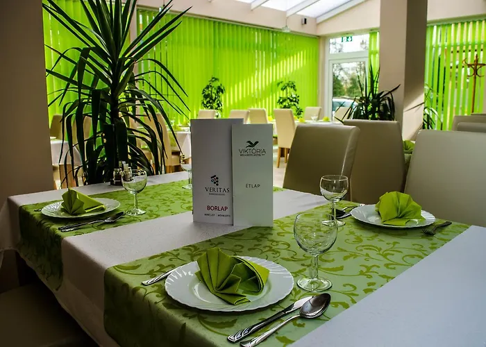 מלון Viktoria Wellness 2*