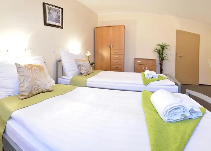 Viktoria Wellness מלון 2*